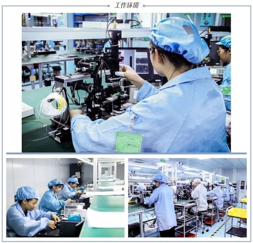 华瑞高解析空分复用与多芯光纤 OFC展会将展出WDM、PLC、激光器及光纤制品
